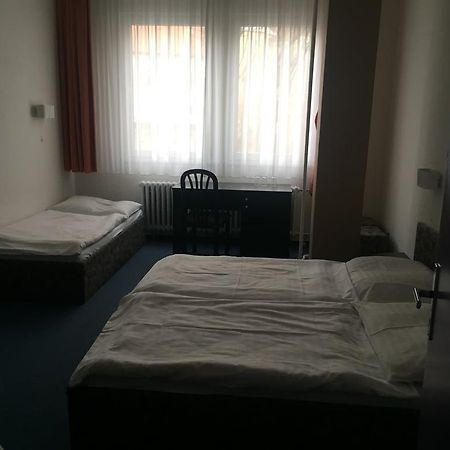 Hotel U Tri Lvu 捷克布杰约维采 外观 照片
