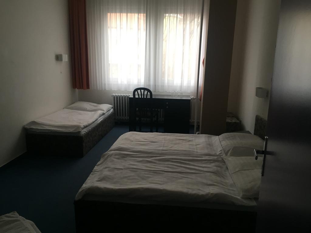 Hotel U Tri Lvu 捷克布杰约维采 外观 照片