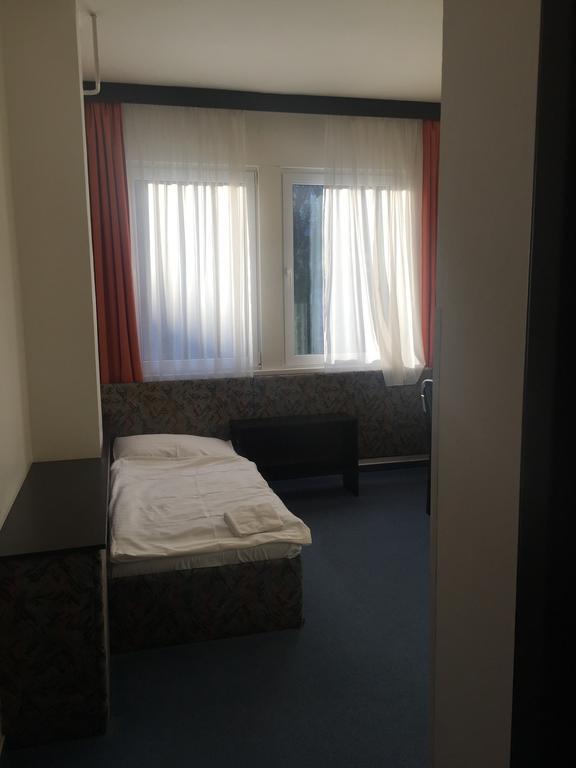 Hotel U Tri Lvu 捷克布杰约维采 外观 照片