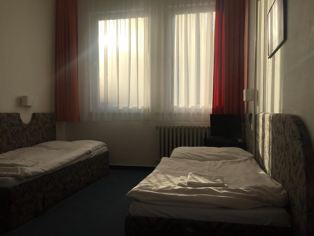 Hotel U Tri Lvu 捷克布杰约维采 外观 照片