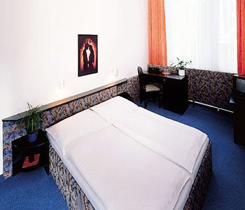 Hotel U Tri Lvu 捷克布杰约维采 外观 照片